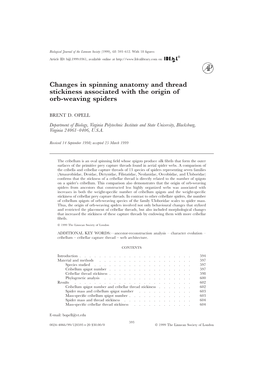 Changes in Spinning Anatomy and Thread Stickiness Associated with the Origin of Orb-Weaving Spiders
