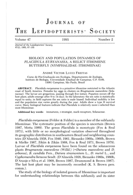 Biology and Population Dynamics of Placidula Euryanassa, a Relict Ithomiine Butterfly (Nymphalidae: Ithomiinae)