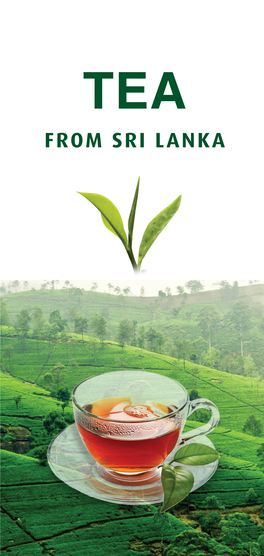 Tea-Ebrochures-1.Pdf