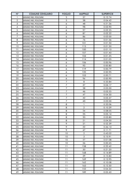 N° Comune Censuario Foglio Mappale Superficie 1 Ariano