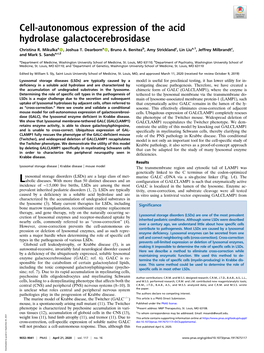 Cell-Autonomous Expression of the Acid Hydrolase Galactocerebrosidase