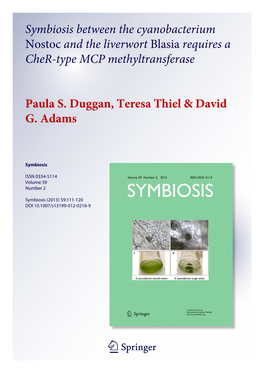 Symbiosis Between the Cyanobacterium Nostoc and the Liverwort Blasia Requires a Cher-Type MCP Methyltransferase