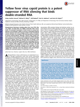 Yellow Fever Virus Capsid Protein Is a Potent Suppressor of RNA Silencing That Binds Double-Stranded RNA