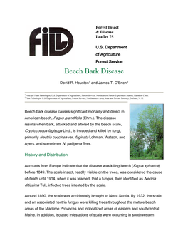 Beech Bark Disease