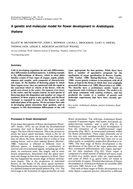 A Genetic and Molecular Model for Flower Development in Arabidopsis Thaliana