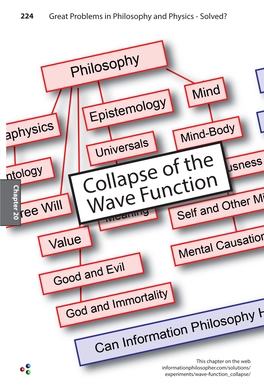 Collapse of the Wave Function