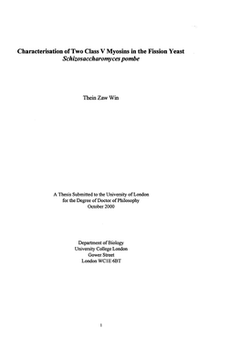 Characterisation of Two Class V Myosins in the Fission Yeast Schizosaccharomyces Pombe
