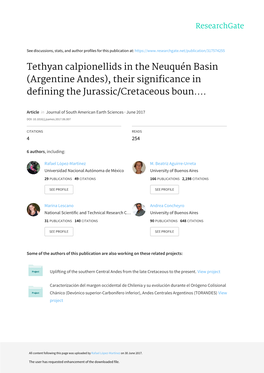 Tethyan Calpionellids in the Neuquen Basin (Argentine Andes), Their