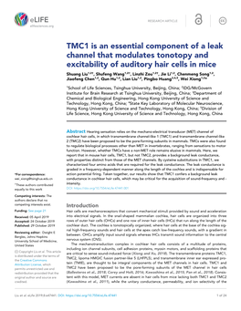 TMC1 Is an Essential Component of a Leak Channel That Modulates