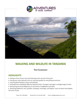 Walking and Wildlife in Tanzania