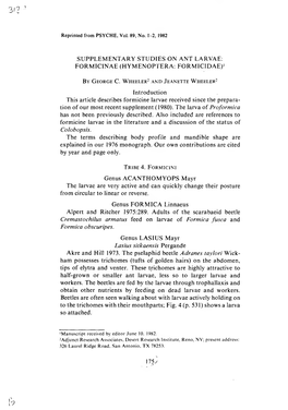 Supplementary Studies on Ant Larvae: Formicinae (Hymenoptera: Formicidae)