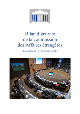 Bilan D'activité De La Commission Des Affaires Étrangères