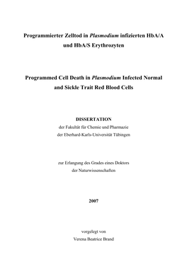 1.4 Life Cycle of Plasmodium Falciparum