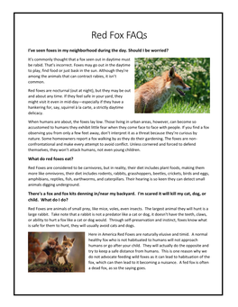 Red Fox Faqs