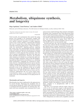Metabolism, Ubiquinone Synthesis, and Longevity