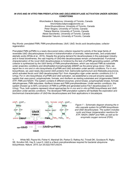 Carboxylase Activation Under Aerobic Conditions.Pdf