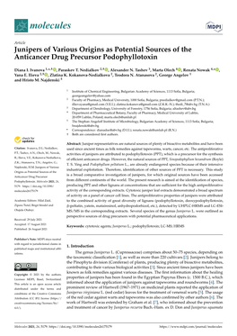 Junipers of Various Origins As Potential Sources of the Anticancer Drug Precursor Podophyllotoxin