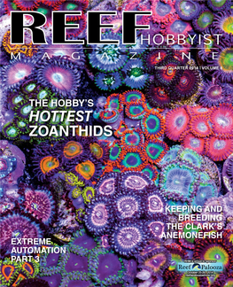 Hottest Zoanthids