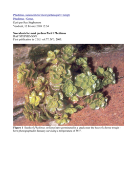 Phedimus, Succulents for Most Gardens Part 1 (Engl) Phedimus - Genus Écrit Par Ray Stephenson Vendredi, 13 Février 2009 12:54