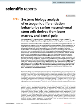 Systems Biology Analysis of Osteogenic Differentiation Behavior