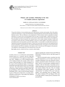 Primary and Secondary Thickening in the Stem of Cordyline Fruticosa (Agavaceae)