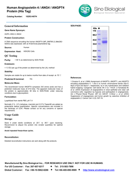 Human Angiopoietin 4 / ANG4 / ANGPT4 Protein (His Tag)