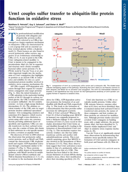 Urm1 Couples Sulfur Transfer to Ubiquitin-Like Protein Function in Oxidative Stress