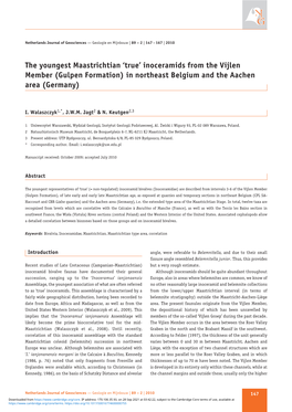 Inoceramids from the Vijlen Member (Gulpen Formation) in Northeast Belgium and the Aachen Area (Germany)