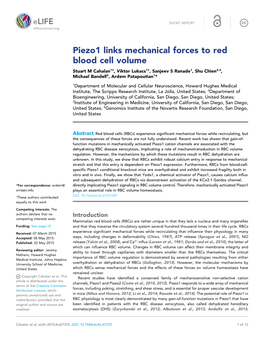 Piezo1 Links Mechanical Forces to Red Blood Cell Volume Stuart M Cahalan1†, Viktor Lukacs1†, Sanjeev S Ranade1, Shu Chien2,3, Michael Bandell4, Ardem Patapoutian1*