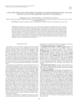 A New Pre-Deseadan Pyrothere (Mammalia) from Northern Peru and the Wear Facets of Molariform Teeth of Pyrotheria