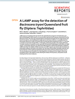 A LAMP Assay for the Detection of Bactrocera Tryoni Queensland Fruit Fy (Diptera: Tephritidae) Mark J