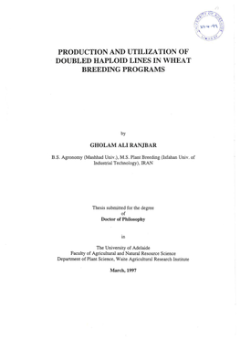 Production and Utilization of Doubled Haploid Lines in Wheat Breeding Programs