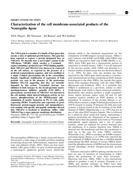 Characterization of the Cell Membrane-Associated Products of the Neuregulin 4Gene