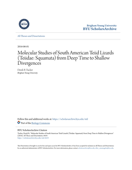 Molecular Studies of South American Teiid Lizards (Teiidae: Squamata) from Deep Time to Shallow Divergences Derek B