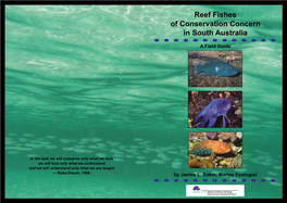 Reef Fishes of Conservation Concern in South Australia