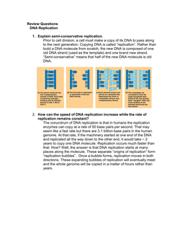 Review Questions DNA Replication