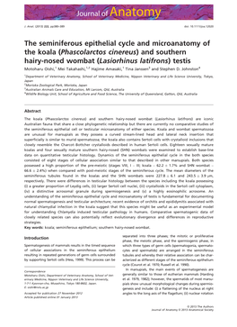 Phascolarctos Cinereus) and Southern Hairy-Nosed Wombat (Lasiorhinus Latifrons) Testis Motoharu Oishi,1 Mei Takahashi,1,2 Hajime Amasaki,1 Tina Janssen3 and Stephen D