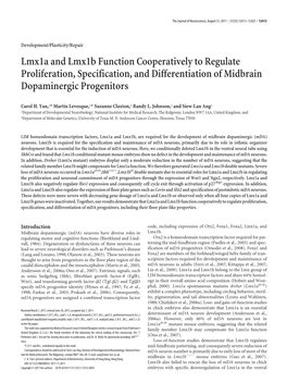 Lmx1a and Lmx1b Function Cooperatively to Regulate Proliferation, Specification, and Differentiation of Midbrain Dopaminergic Progenitors