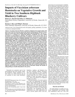 Impacts of Vaccinium Arboreum Rootstocks on Vegetative Growth