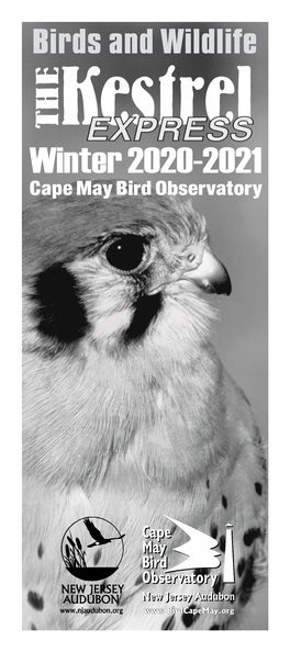 Cape May Bird Observatory