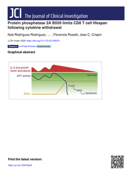 Protein Phosphatase 2A B55ß Limits CD8 T Cell Lifespan Following Cytokine Withdrawal