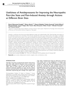 Usefulness of Antidepressants for Improving the Neuropathic Pain-Like State and Pain-Induced Anxiety Through Actions at Different Brain Sites