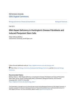 DNA Repair Deficiency in Huntington's Disease Fibroblasts and Induced Pluripotent Stem Cells