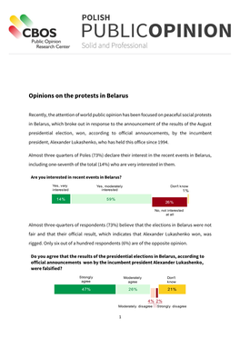 Opinions on the Protests in Belarus