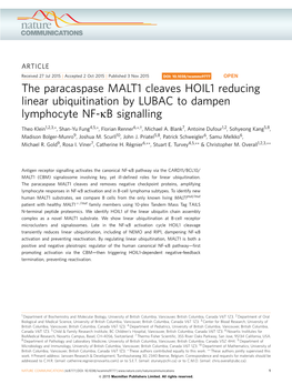 The Paracaspase MALT1 Cleaves HOIL1 Reducing Linear Ubiquitination by LUBAC to Dampen Lymphocyte NF-Kb Signalling