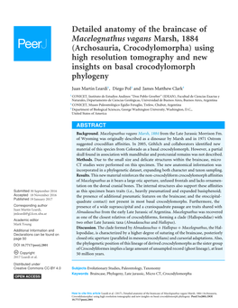 LEARDI, J. M., POL, D., & CLARK, J.M. 2017. Detailed Anatomy of The