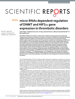 Micro-Rnas Dependent Regulation of DNMT and Hif1α Gene Expression