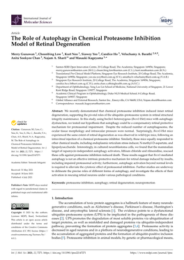 The Role of Autophagy in Chemical Proteasome Inhibition Model of Retinal Degeneration