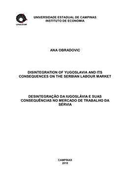 Ana Obradovic Disintegration of Yugoslavia and Its