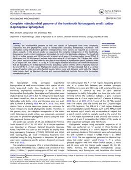 Complete Mitochondrial Genome of the Hawkmoth Notonagemia Analis Scribae (Lepidoptera: Sphingidae)